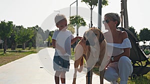 Happy mother with son play with stray dog walking on the street.