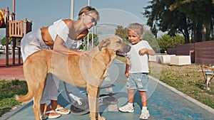 Happy mother with son play with stray dog walking on the street.