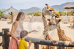 Happy mother and son watching and feeding giraffe in zoo. Happy family having fun with animals safari park on warm