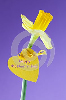 Happy mothers day