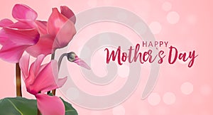 Happy Mothers Day Background with Realistic Cyclamen flowers. Vector Illustration