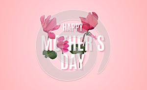 Happy Mothers Day Background with Realistic Cyclamen flowers. Vector Illustration