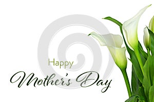 Happy Mothers Day card. Calla lilies isolated on white