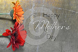Happy Mothers Day card with gerbera daisies on rusty background