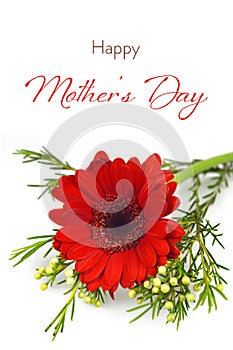 Happy Mothers Day card with gerbera flower isolated on white