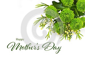 Happy Mothers Day card. Green chrysanthemum flowers isolated on white background