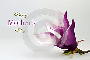 Happy Mothers Day card with magnolia flower on wooden background