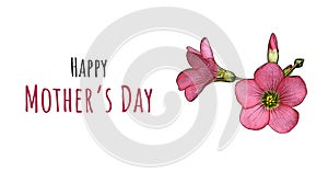 Happy Mothers Day card with pink wood sorrel flowers illustration isolated on white background