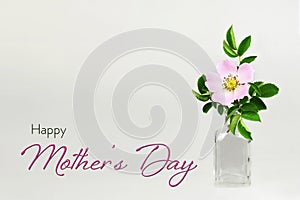 Happy Mothers Day card with wild rose in transparent vase