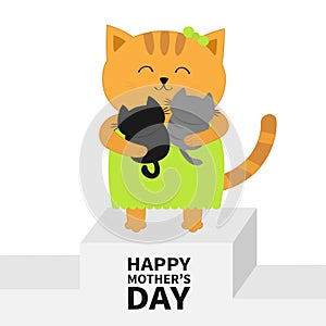 Happy Mothers day. Cat hugging baby kitten. Kittens on hands. Winner stand First place podium pedistal. Kitty hug. Animal family.