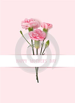 Happy Mothers day greeting text. Holiday design template with realistic pink carnation flowers on pink background.