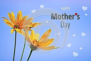 Happy mothers day - lettering on celebratory background with flowers.