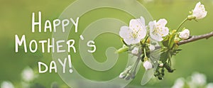 happy mothers day spring banner macro white flowers of apple tree on a green