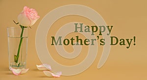 HAPPY MOTHERS DAY text greeting card Delicate pink roses on beige background. Minimal trendy composition. Romantic