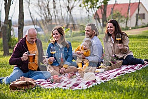 Happy multigeneration family outdoors having picnic in backyard garden.