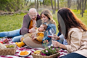 Happy multigeneration family outdoors having picnic in nature.