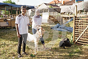 Muslim couple buy a goat for eid adha sacrifice or idul qurban photo