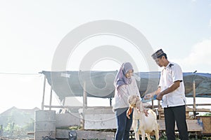 Muslim couple buy a goat for eid adha sacrifice or idul qurban photo