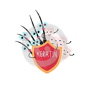Happy nails and hair peeking out from under the red shield that says Keratin. Beauty and care. Hand drawn cartoon design photo