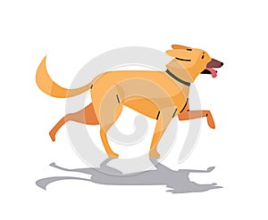 Happy national dog day greeting card cute doggy holiday of domestic animals concept horizontal