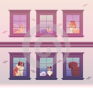 Happy national dog day greeting card various cute doggy looking out of apartment windows holiday of domestic animals