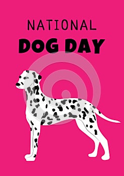 Happy national Dog day greeting card vector design. Dalmatin dog on pink background.