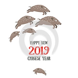 Happy New 2019 Chinese year of the boar. Vector illustrated flat