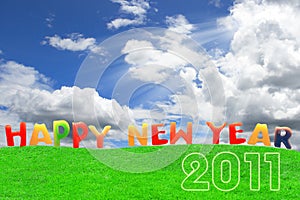 Happy new year 2011