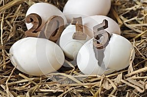 Happy New Year 2015, eggs concept