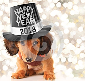 Happy New Year 2018 puppy