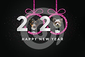 Happy new year 2020 with two Dogs Pink