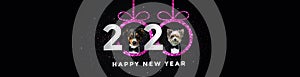 Happy new year 2020 with two Dogs Pink  Panorama