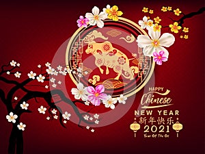 Happy new year 2021. Chinese new year, year of the ox Chinese translation : Happy chinese new year