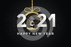 Happy new year 2021 with a Dog, Appenzeller Sennenhund
