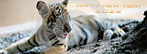 Happy New Year 2022 for cover banner for social media or other background. The year of the tiger of lunar Eastern calendar