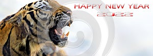 Happy New Year 2022 for cover banner for social media or other background. The year of the tiger of lunar Eastern calendar