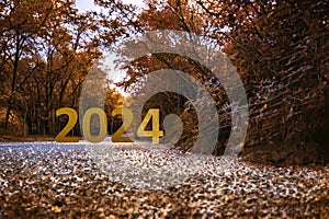 Happy new year 2024 idea with text on forest road with autumn filter.