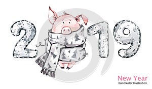 2019 Happy New Year banner. Cute pig in winter scarf with numbers. Watercolor illustration. Symbol of winter holidays