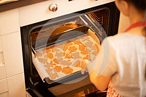 Happy New Year and Christmas, The girl puts a baking tray with cookies and gingerbread in the oven for cooking