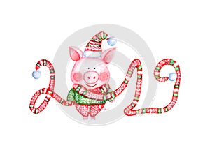 2019 Happy New Year and Christmas illustration with watercolor funny pig