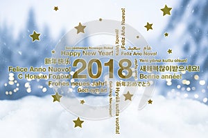 Happy New Year in different languages greeting card concept with snowy winter landscape