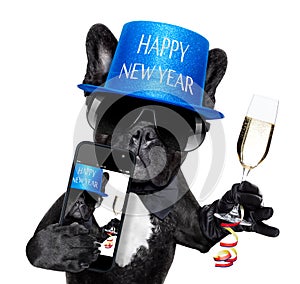 Happy new year dog