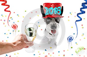 Happy new year dog celberation