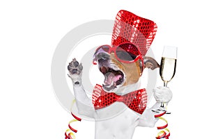 Happy new year dog celberation