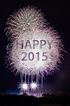 Happy New Year 2015 with fireworks