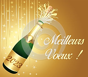 Best wishes ! French language. Golden greeting card with champagne and party decorations. Vector illustration.