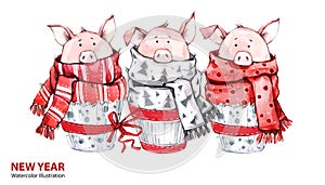 2019 Happy New Year illustration. Christmas border. 3 Cute pigs in winter scarves. Greeting watercolor cakes. Symbol of