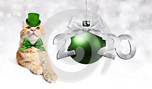 2020feliz nuevo número ridículo jengibre gato verde un sombrero a bola navidena sobre el plata borroso las luces 