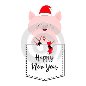Happy New Year. Pig face head in the pocket. Santa hat, candy cane, sock. Cute cartoon animals. Piggy piglet character. Dash line