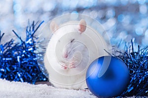 Happy New Year! Symbol of New Year 2020 - white or metal silver rat. Cute rat with Christmas decorated